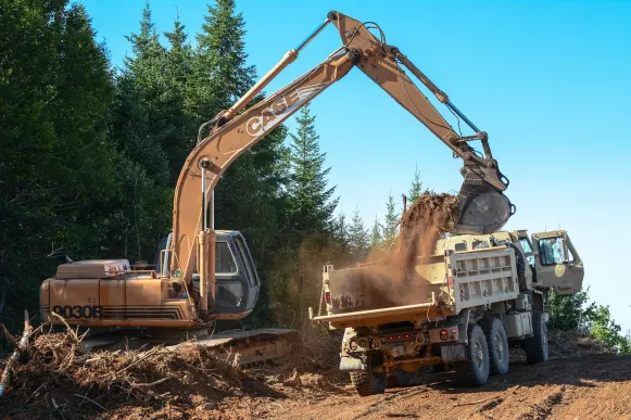 Lupin Kazino Atbalsts